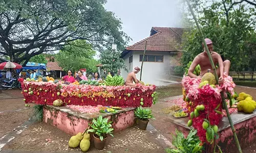 ಮಂಗಳೂರು: ಪಿಲಿಕುಳದಲ್ಲಿ ಹಲಸು ಮೇಳ