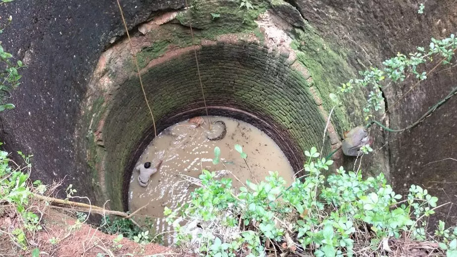 ಆಳದ ಬಾವಿಗೆ ಬಿದ್ದ ಸಾಕು ನಾಯಿ ರಕ್ಷಿಸಿದ ಅಗ್ನಿಶಾಮಕ ಸಿಬ್ಬಂದಿ