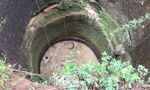 ಆಳದ ಬಾವಿಗೆ ಬಿದ್ದ ಸಾಕು ನಾಯಿ ರಕ್ಷಿಸಿದ ಅಗ್ನಿಶಾಮಕ ಸಿಬ್ಬಂದಿ