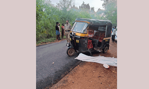ವಿಟ್ಲ | ಆಟೋ ರಿಕ್ಷಾ ಪಲ್ಟಿ: ಚಾಲಕ ಮೃತ್ಯು