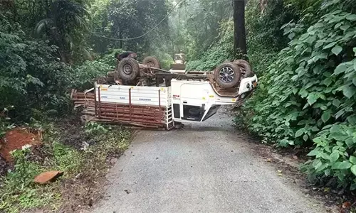 ಚಿಕ್ಕಮಗಳೂರು: ಚಾಲಕನ ನಿಯಂತ್ರಣ ತಪ್ಪಿ ಪಿಕಪ್ ವಾಹನ ಪಲ್ಟಿ