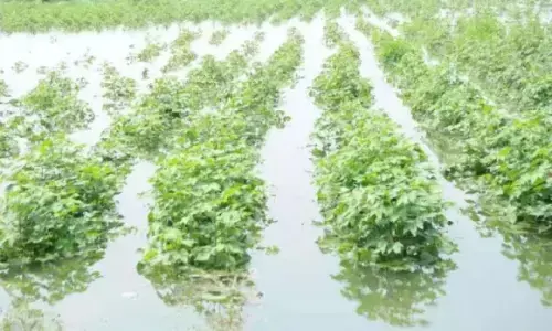 ಉಡುಪಿ ಜಿಲ್ಲೆಯಲ್ಲಿ ಹವಾಮಾನಾಧಾರಿತ ಬೆಳೆವಿಮೆ ಯೋಜನೆ ಜಾರಿಗೊಳಿಸಲು ಆಗ್ರಹ