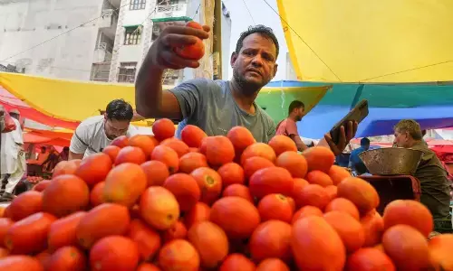 ಟೊಮೆಟೊ ಬೆಲೆ ಏರಿಕೆಗೆ ಕೇಂದ್ರದ ತಪ್ಪು ನಿರ್ಧಾರಗಳು ಕಾರಣ: ಕಾಂಗ್ರೆಸ್