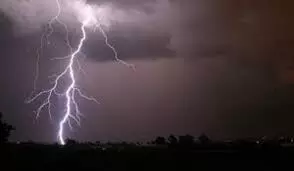 ಬೈಂದೂರು: ಸಿಡಿಲು ಬಡಿದು ಜಾನುವಾರು ಮೃತ್ಯು