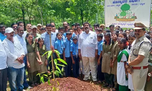 ಭಟ್ಕಳದ ಸಾಲುಮರದ ತಿಮ್ಮಕ್ಕ ಉದ್ಯಾನದಲ್ಲಿ “ವನಮೋಹತ್ಸವ ಸಪ್ತಾಹ”ಕ್ಕೆ ಚಾಲನೆ ನೀಡಿದ ಸಚಿವ ಮಾಂಕಾಳ ವೈದ್ಯ