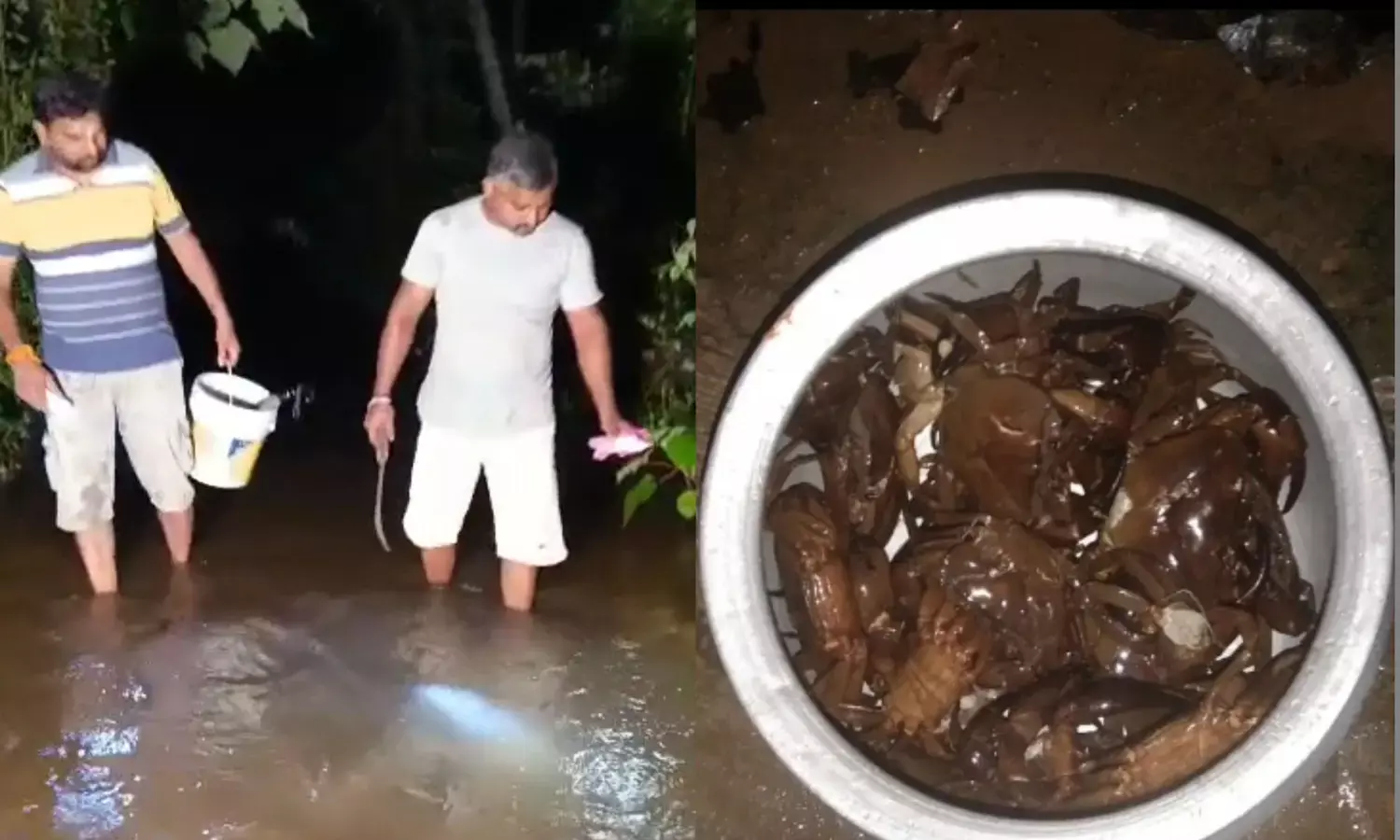 ಪರ್ಕಳದಲ್ಲಿ ದೊಂದಿ ಬೆಳಕಿನಲ್ಲಿ ಕಪ್ಪು ಏಡಿ ಬೇಟೆ