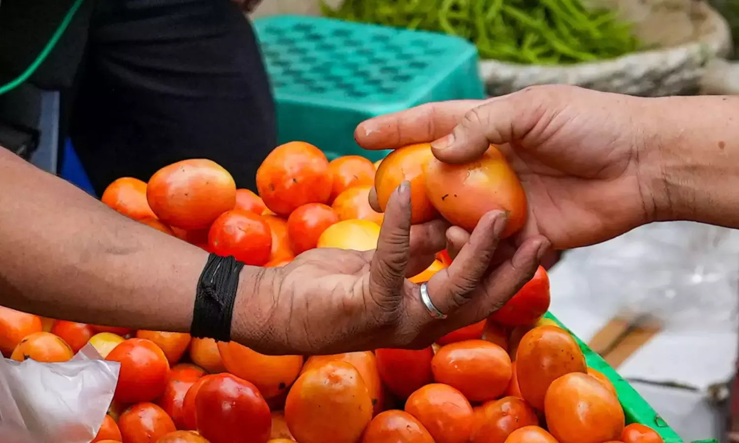 ದಿಲ್ಲಿ- ಎನ್‌ಸಿಆರ್‌ನಲ್ಲಿ ಪ್ರತಿ ಕಿಲೋಗ್ರಾಂ ಗೆ 140 ರೂ.ಗೆ ಏರಿದ ಟೊಮೆಟೊ ಬೆಲೆ