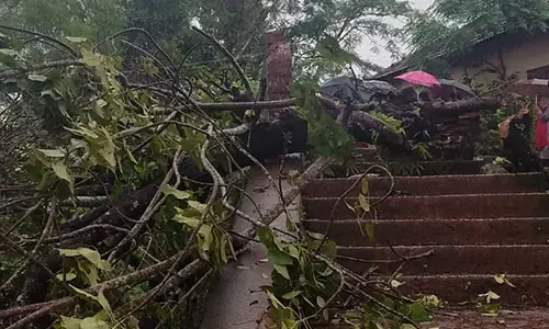 ಕಾಸರಗೋಡು : ಭಾರೀ ಗಾಳಿ-ಮಳೆಗೆ ಮರ ಬಿದ್ದು ವಿದ್ಯಾರ್ಥಿನಿ ಮೃತ್ಯು