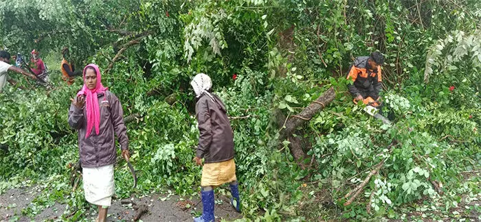 ಚಿಕ್ಕಮಗಳೂರು: ಭಾರೀ ಗಾಳಿ-ಮಳೆಗೆ ಧರೆಗುರುಳಿದ ಬೃಹತ್ ಮರ ಚಿಕ್ಕಮಗಳೂರು: ಭಾರೀ ಗಾಳಿ-ಮಳೆಗೆ ಧರೆಗುರುಳಿದ ಬೃಹತ್ ಮರ