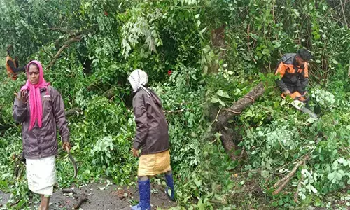 ಚಿಕ್ಕಮಗಳೂರು: ಭಾರೀ ಗಾಳಿ-ಮಳೆಗೆ ಧರೆಗುರುಳಿದ ಬೃಹತ್ ಮರ