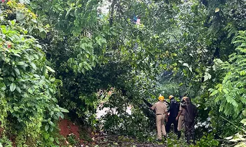 ರಾಜ್ಯದಲ್ಲಿ ಮುಂದುವರಿದ ಮಳೆ; ಕರಾವಳಿ ಜಿಲ್ಲೆಗಳಿಗೆ ರೆಡ್ ಅಲರ್ಟ್