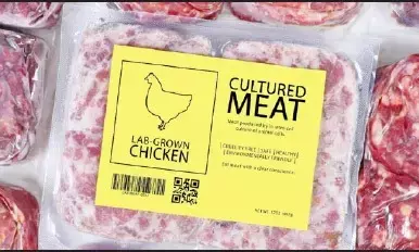 ಲ್ಯಾಬ್ ಉತ್ಪಾದಿತ ಮಾಂಸ ಭಾರತದ ಮಾರುಕಟ್ಟೆಗೂ ಬರಲಿದೆಯೇ?