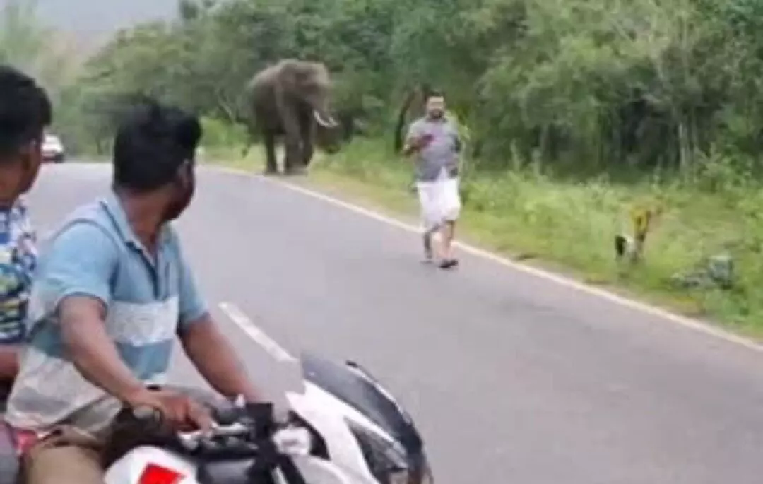 ಚಾಮರಾಜನಗರ: ಕಾಡಾನೆ ಜೊತೆ ಸೆಲ್ಫಿ ಕ್ಲಿಕ್ಕಿಸಿಕೊಂಡ ಇಬ್ಬರು ಪ್ರವಾಸಿಗರಿಗೆ 20 ಸಾವಿರ ರೂ. ದಂಡ