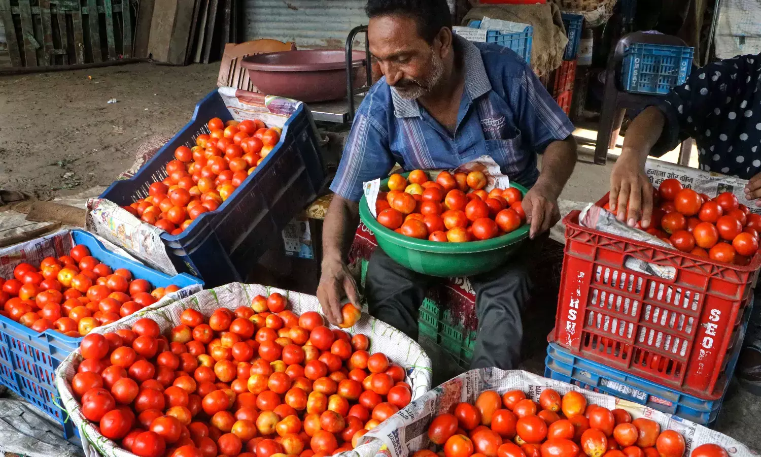 ಅಂಗಡಿಯಿಂದ 20 ಕಿಲೋ ಟೊಮೆಟೊ ಕಳವು