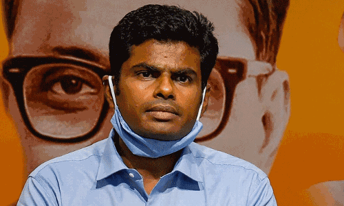 ರಾಜ್ಯಪಾಲರು ರಾಜಕೀಯದ ಬಗ್ಗೆ ಮಾತನಾಡಬಾರದು: ತಮಿಳುನಾಡು ಬಿಜೆಪಿ ಅಧ್ಯಕ್ಷ ಅಣ್ಣಾಮಲೈ