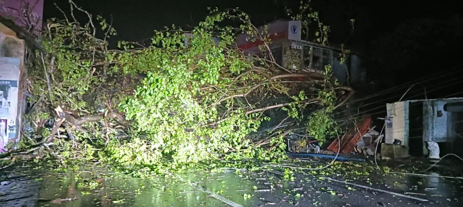 ಕಾರ್ಕಳ | ಚಲಿಸುತ್ತಿದ್ದ ಬೈಕ್ ಮೇಲೆ ಉರುಳಿಬಿದ್ದ ಬೃಹತ್ ಗಾತ್ರದ ಮರ: ಯುವಕ ಮೃತ್ಯು ಕಾರ್ಕಳ | ಚಲಿಸುತ್ತಿದ್ದ ಬೈಕ್ ಮೇಲೆ ಉರುಳಿಬಿದ್ದ ಬೃಹತ್ ಗಾತ್ರದ ಮರ: ಯುವಕ ಮೃತ್ಯು