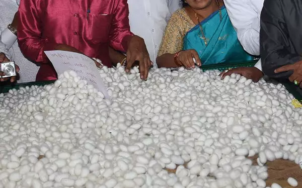 ಬಜೆಟ್ | ರಾಮನಗರ ಜಿಲ್ಲೆಯಲ್ಲಿ ‘ಹೈಟೆಕ್ ರೇಷ್ಮೆಗೂಡು ಮಾರುಕಟ್ಟೆ’: ಸಿಎಂ ಸಿದ್ದರಾಮಯ್ಯ ಬಜೆಟ್ | ರಾಮನಗರ ಜಿಲ್ಲೆಯಲ್ಲಿ ‘ಹೈಟೆಕ್ ರೇಷ್ಮೆಗೂಡು ಮಾರುಕಟ್ಟೆ’: ಸಿಎಂ ಸಿದ್ದರಾಮಯ್ಯ