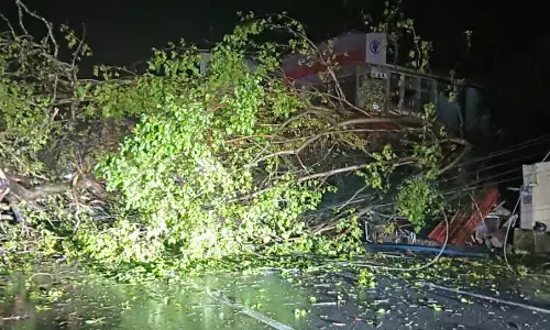 ಕಾರ್ಕಳ | ಚಲಿಸುತ್ತಿದ್ದ ಬೈಕ್ ಮೇಲೆ ಉರುಳಿಬಿದ್ದ ಬೃಹತ್ ಗಾತ್ರದ ಮರ: ಯುವಕ ಮೃತ್ಯು