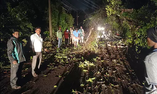 ಕೆಂಚನಕೆರೆ: ರಾಜ್ಯ ಹೆದ್ದಾರಿಗೆ ಮರ ಬಿದ್ದು ಸಂಚಾರ ಅಸ್ತವ್ಯಸ್ತ