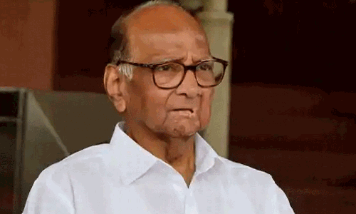 ಎನ್‌ಸಿಪಿ ಮಾನ್ಯತೆಗಾಗಿ ಮುಂದುವರಿದ ತಿಕ್ಕಾಟ: ಪಕ್ಷದ ಪುನರ್ ಸಂಘಟನೆಗೆ ಮುಂದಾದ ಶರದ್ ಪವಾರ್