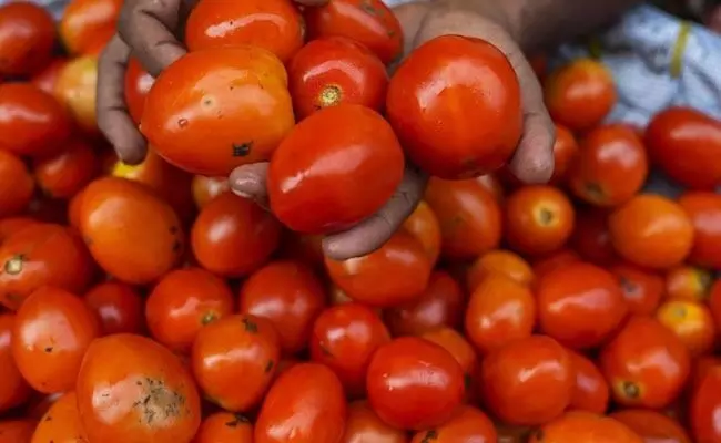 ದೇಶದ ಕೆಲವೆಡೆ ಟೊಮೆಟೊ ಬೆಲೆ 200ಕ್ಕೆ ಏರಿಕೆ ದೇಶದ ಕೆಲವೆಡೆ ಟೊಮೆಟೊ ಬೆಲೆ 200ಕ್ಕೆ ಏರಿಕೆ