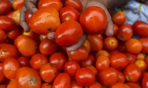 ದೇಶದ ಕೆಲವೆಡೆ ಟೊಮೆಟೊ ಬೆಲೆ 200ಕ್ಕೆ ಏರಿಕೆ