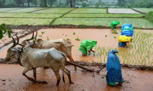ಕೃಷಿ ನಮ್ಮ ದೇಶದ ಆರ್ಥಿಕತೆಯ ತಾಯಿಬೇರು: ಎಲ್ಲೂರು ಶಶಿಧರ್ ಶೆಟ್ಟಿ