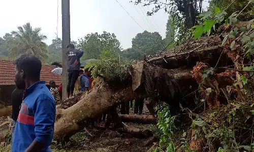 ಕೊಡಗು | ರಸ್ತೆಗೆ ಅಡ್ಡಲಾಗಿ ಬಿದ್ದ ಮರ; ಸಕಾಲಕ್ಕೆ ಚಿಕಿತ್ಸೆ ಕೊಡಿಸಲಾಗದೆ ಮಗು ಮೃತ್ಯು