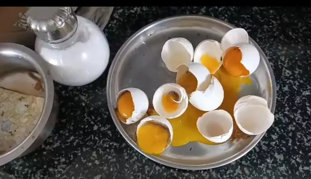 ಅಂಗನವಾಡಿಗಳಿಗೆ ಕೊಳೆತ ಮೊಟ್ಟೆ ವಿತರಣೆ ಆರೋಪ: ಟೆಂಡರ್ ದಾರರಿಗೆ ನೋಟಿಸ್