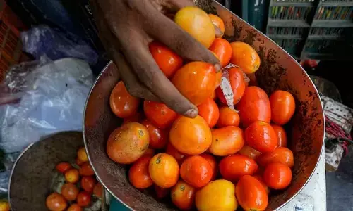 ಅಡುಗೆಯಲ್ಲಿ ಟೊಮೆಟೊ ಬಳಕೆ ಕುರಿತು ಪತಿಯೊಂದಿಗೆ ಜಗಳ: ಮನೆ ಬಿಟ್ಟು ಹೊರಟ ಪತ್ನಿ !