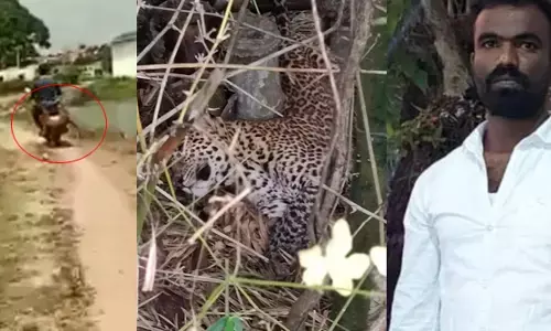 ಹಾಸನ: ದಾಳಿ ಮಾಡಿದ ಚಿರತೆಯನ್ನೇ ಬೈಕಿನಲ್ಲಿ ಕಟ್ಟಿಕೊಂಡು ಹೋಗಿ ಅರಣ್ಯ ಇಲಾಖೆಗೆ ಒಪ್ಪಿಸಿದ ಯುವಕ!