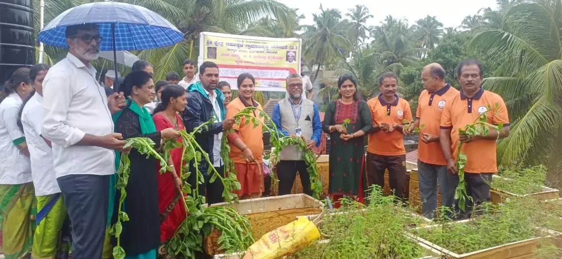 ಉಳ್ಳಾಲ: ಹಳೆಕೋಟೆ ಸಯ್ಯದ್ ಮದನಿ ವಿದ್ಯಾ ಸಂಸ್ಥೆಯಲ್ಲಿ ವನಮಹೋತ್ಸವ ಕಾರ್ಯಕ್ರಮ