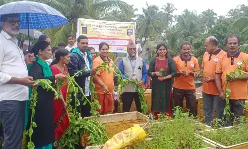 ಉಳ್ಳಾಲ: ಹಳೆಕೋಟೆ ಸಯ್ಯದ್ ಮದನಿ ವಿದ್ಯಾ ಸಂಸ್ಥೆಯಲ್ಲಿ ವನಮಹೋತ್ಸವ ಕಾರ್ಯಕ್ರಮ