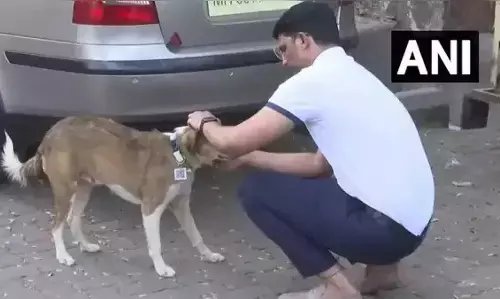 ಮುಂಬೈ ವಿಮಾನ ನಿಲ್ದಾಣದ 20 ಬೀದಿನಾಯಿಗಳಿಗೆ ಆಧಾರ್!