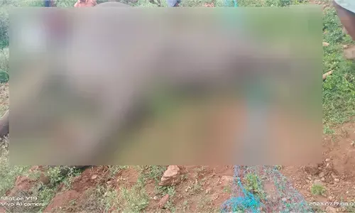 ವಿದ್ಯುತ್ ತಂತಿ ಬೇಲಿ ತುಳಿದು ಕಾಡಾನೆ ಸಾವು