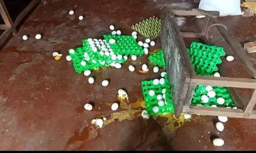 ಸಾಗರ: ಅಂಗನವಾಡಿಗೆ ನುಗ್ಗಿ ಕಳ್ಳತನಕ್ಕೆ ಯತ್ನ