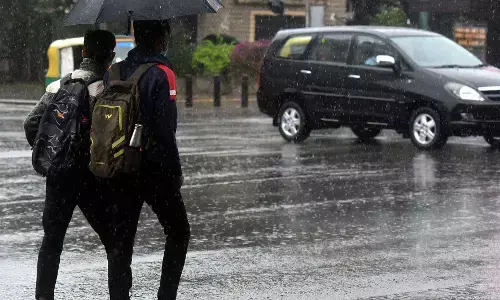 ರಾಜ್ಯದಲ್ಲಿ ಶೇ.36ರಷ್ಟು ಮಳೆ ಕೊರತೆ: ಸಚಿವ ಚಲುವರಾಯಸ್ವಾಮಿ