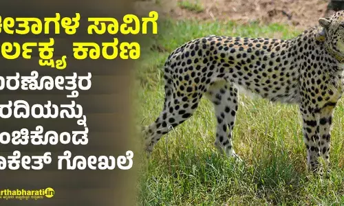 ‘ಚೀತಾಗಳ ಸಾವಿಗೆ ನಿರ್ಲಕ್ಷ್ಯ ಕಾರಣ’: ಮರಣೋತ್ತರ ವರದಿಯನ್ನು ಹಂಚಿಕೊಂಡ ಸಾಕೇತ್‌ ಗೋಖಲೆ