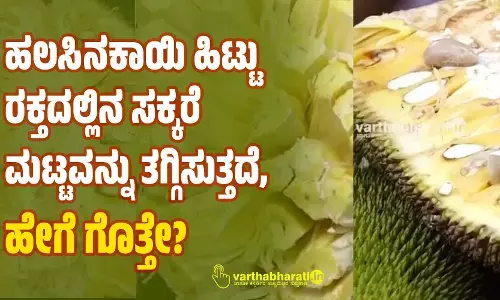 ಹಲಸಿನಕಾಯಿ ಹಿಟ್ಟು ರಕ್ತದಲ್ಲಿನ ಸಕ್ಕರೆ ಮಟ್ಟವನ್ನು ತಗ್ಗಿಸುತ್ತದೆ, ಹೇಗೆ ಗೊತ್ತೇ?
