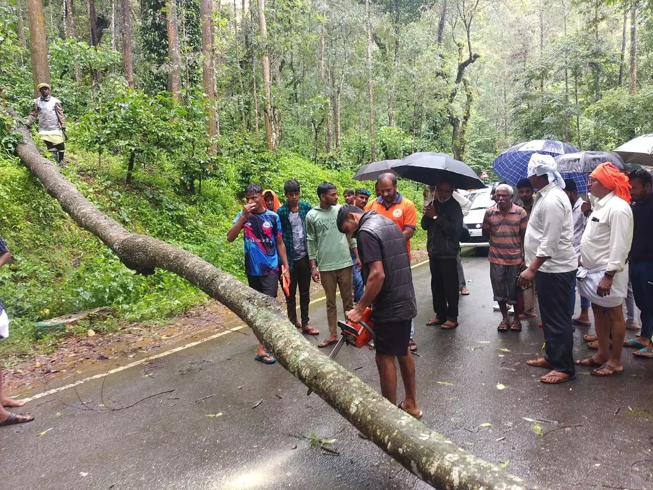 ಚಿಕ್ಕಮಗಳೂರು | ಮಲೆನಾಡಿನಲ್ಲಿ ಭಾರೀ ಮಳೆ-ಗಾಳಿ: ಕೊಟ್ಟಿಗೆಹಾರದಲ್ಲಿ ಮರಬಿದ್ದು ಸಂಚಾರ ಅಸ್ತವ್ಯಸ್ತ ಚಿಕ್ಕಮಗಳೂರು | ಮಲೆನಾಡಿನಲ್ಲಿ ಭಾರೀ ಮಳೆ-ಗಾಳಿ: ಕೊಟ್ಟಿಗೆಹಾರದಲ್ಲಿ ಮರಬಿದ್ದು ಸಂಚಾರ ಅಸ್ತವ್ಯಸ್ತ