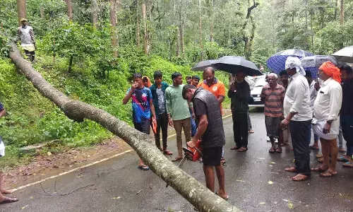 ಚಿಕ್ಕಮಗಳೂರು | ಮಲೆನಾಡಿನಲ್ಲಿ ಭಾರೀ ಮಳೆ-ಗಾಳಿ: ಕೊಟ್ಟಿಗೆಹಾರದಲ್ಲಿ ಮರಬಿದ್ದು ಸಂಚಾರ ಅಸ್ತವ್ಯಸ್ತ