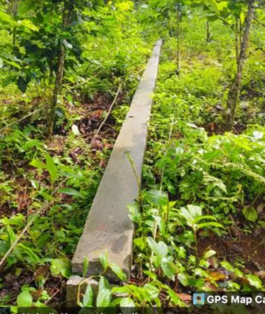 ಕೊಡಗಿನಲ್ಲಿ ಗಾಳಿ ಮಳೆ: ಸಾವಿರಕ್ಕೂ ಹೆಚ್ಚು ವಿದ್ಯುತ್ ಕಂಬ, 49 ಮನೆಗಳಿಗೆ ಹಾನಿ ಕೊಡಗಿನಲ್ಲಿ ಗಾಳಿ ಮಳೆ: ಸಾವಿರಕ್ಕೂ ಹೆಚ್ಚು ವಿದ್ಯುತ್ ಕಂಬ, 49 ಮನೆಗಳಿಗೆ ಹಾನಿ