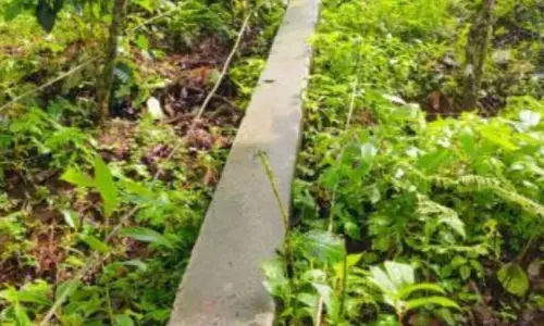 ಕೊಡಗಿನಲ್ಲಿ ಗಾಳಿ ಮಳೆ: ಸಾವಿರಕ್ಕೂ ಹೆಚ್ಚು ವಿದ್ಯುತ್ ಕಂಬ, 49 ಮನೆಗಳಿಗೆ ಹಾನಿ