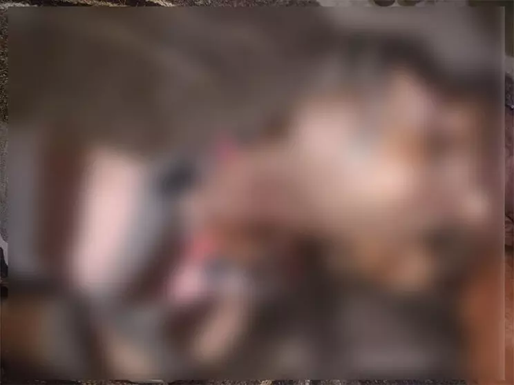 ಕರಡಿ ದಾಳಿಯಿಂದ ವ್ಯಕ್ತಿ ಸಾವು