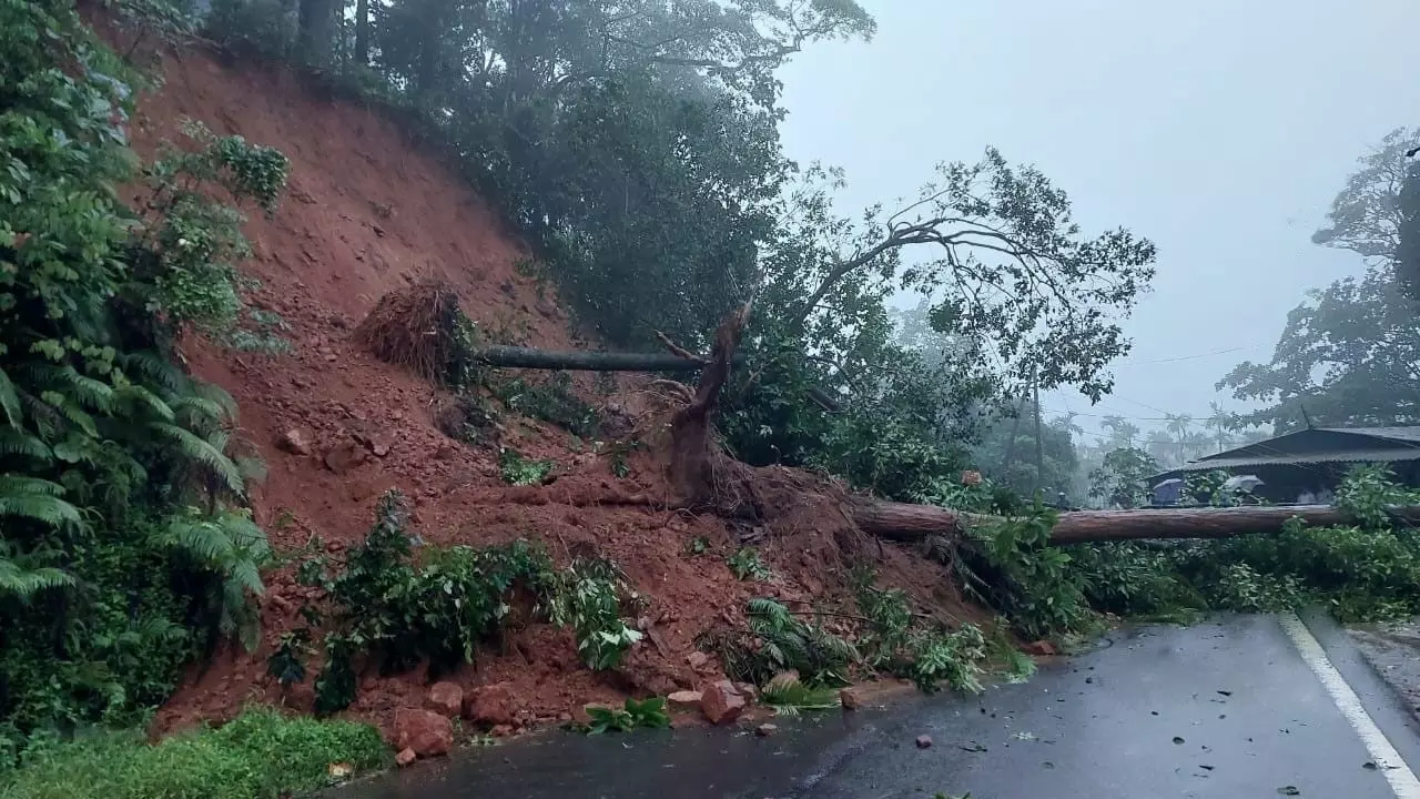 ರಸ್ತೆಗೆ ಬಿದ್ದ ಮರ; ಮಡಿಕೇರಿ-ಮಂಗಳೂರು ಹೆದ್ದಾರಿಯಲ್ಲಿ ವಾಹನ ಸಂಚಾರ ಸ್ಥಗಿತ ರಸ್ತೆಗೆ ಬಿದ್ದ ಮರ; ಮಡಿಕೇರಿ-ಮಂಗಳೂರು ಹೆದ್ದಾರಿಯಲ್ಲಿ ವಾಹನ ಸಂಚಾರ ಸ್ಥಗಿತ