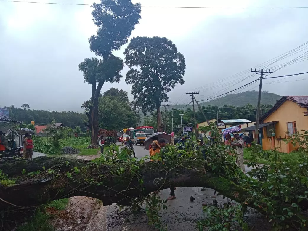 ಮಳೆ ಹಾನಿ | ಎಲ್ಲ ಜಿಲ್ಲಾಧಿಕಾರಿಗಳಿಗೆ ಹೈ-ಅಲರ್ಟ್ ಸೂಚನೆ: ಸಚಿವ ಕೃಷ್ಣಭೈರೇಗೌಡ ಮಳೆ ಹಾನಿ | ಎಲ್ಲ ಜಿಲ್ಲಾಧಿಕಾರಿಗಳಿಗೆ ಹೈ-ಅಲರ್ಟ್ ಸೂಚನೆ: ಸಚಿವ ಕೃಷ್ಣಭೈರೇಗೌಡ