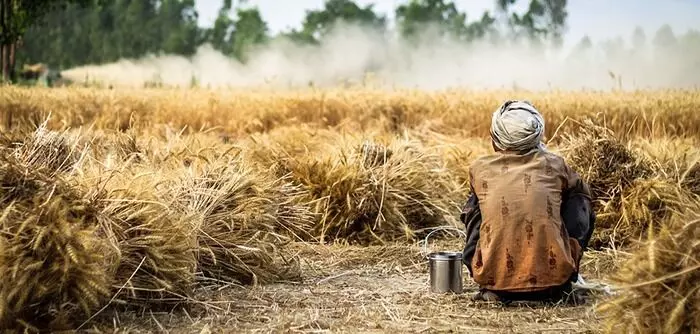 ಮಹಾರಾಷ್ಟ್ರ: ಮರಾಠಾವಾಡದಲ್ಲಿ 6 ತಿಂಗಳಲ್ಲಿ 483 ರೈತರ ಆತ್ಮಹತ್ಯೆ ಮಹಾರಾಷ್ಟ್ರ: ಮರಾಠಾವಾಡದಲ್ಲಿ 6 ತಿಂಗಳಲ್ಲಿ 483 ರೈತರ ಆತ್ಮಹತ್ಯೆ