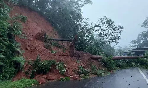 ರಸ್ತೆಗೆ ಬಿದ್ದ ಮರ; ಮಡಿಕೇರಿ-ಮಂಗಳೂರು ಹೆದ್ದಾರಿಯಲ್ಲಿ ವಾಹನ ಸಂಚಾರ ಸ್ಥಗಿತ