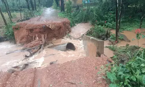ಭಾರೀ ಮಳೆಗೆ ಕೊಚ್ಚಿ ಹೋದ ನೀರೋಡಿ ಕಿರು ಸೇತುವೆ