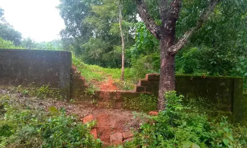 ಸುಳ್ಯ: ಮಂಡೆಕೋಲು ಭಾಗದಲ್ಲಿ ಕಾಡಾನೆ ಹಾವಳಿ: ಶಾಲೆಯ ಕಾಂಪೌಂಡ್‌ಗೆ ಹಾನಿ ಮಾಡಿದ ಗಜಪಡೆ